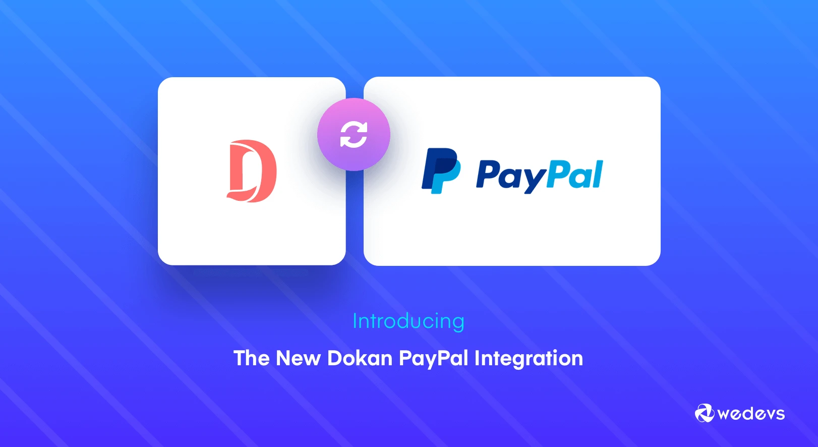 Dokan PayPal Integration: Now Flexibility is Yours as a Marketplace Owner!